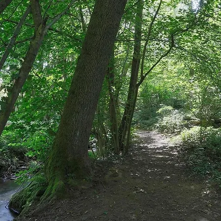 In Murbachhof Up To 10 People Cooking Possible