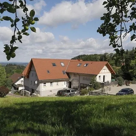 In Murbachhof Up To 10 People Cooking Possible Bühl