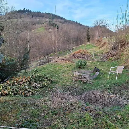 In Murbachhof Up To 10 People Cooking Possible * Bühl