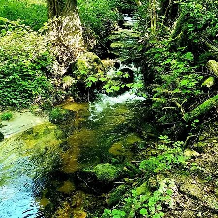 In Murbachhof Up To 10 People Cooking Possible *