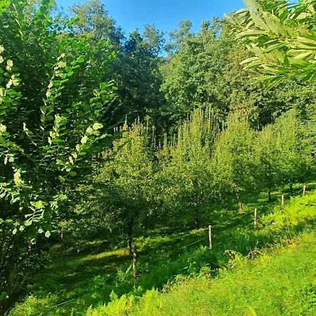 In Murbachhof Up To 10 People Cooking Possible *