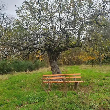 In Murbachhof Up To 10 People Cooking Possible Apartamento *