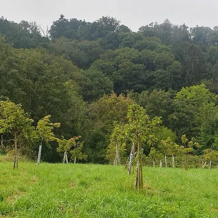 In Murbachhof Up To 10 People Cooking Possible * Bühl